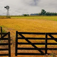 arrendamientos agricolas y ganaderos